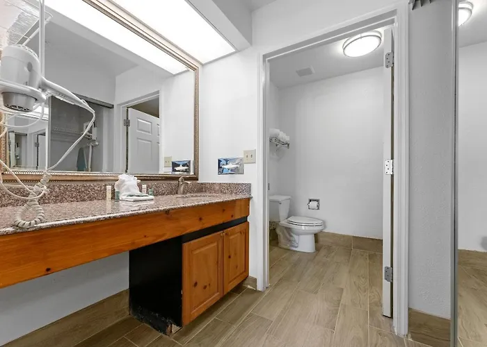 Upgraded 1 Bd 1 Ba 2 Queen Beds * Scottsdale