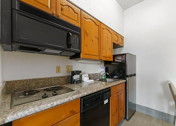 Apartment Upgraded 1 Bd 1 Ba 2 Queen Beds *