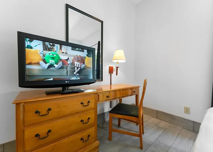 Upgraded 1 Bd 1 Ba 2 Queen Beds Apartment